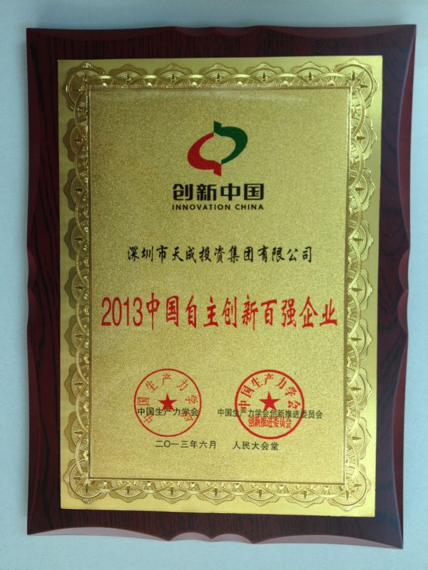 2013中國自主創(chuàng)新百強企業(yè)