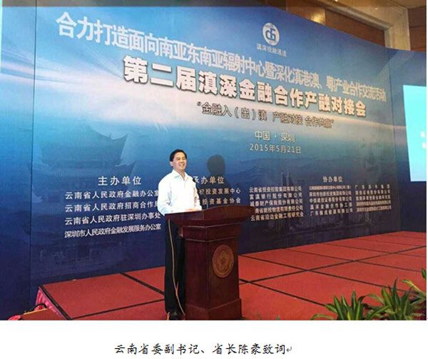 云南省委副書記、省長陳豪致辭
