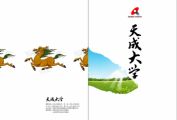 天成集團(tuán)擬計(jì)劃投資3億元人民幣發(fā)展教育事業(yè)