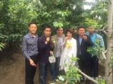 天成投資集團白酒研究院 考察西泰山河南大華之釀酒業(yè)有限公司