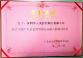 熱烈祝賀深圳市天成投資集團被評為“2017年度管理咨詢行業(yè)最具影響力單位”