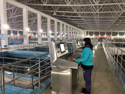 长春全面恢复供水、供电、供暖 供水设备保障的新篇章