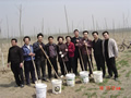 攜手共進(jìn)，共筑綠色天成