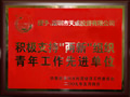 市民營團(tuán)工委表彰天成公司團(tuán)委一批“兩新”領(lǐng)域團(tuán)建先進(jìn)單位和個人